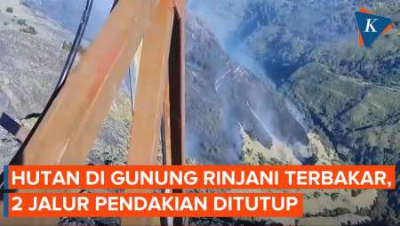 Detik-detik 74 Hektare Lahan di Hutan Gunung Rinjani Terbakar