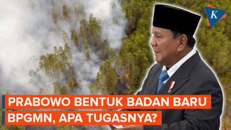 Prabowo Bikin Badan Baru Lagi Bernama BPGMN, Apa Tugasnya?
