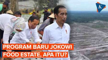 Mengenal Food Estate, Program Jokowi yang Ramai Diperbincangkan