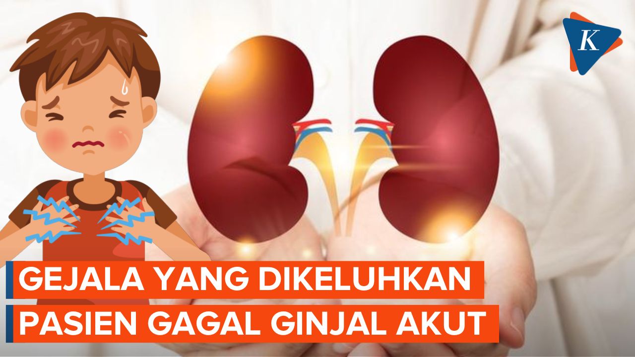 Sederet Gejala yang Dikeluhkan Pasien Gagal Ginjal Akut