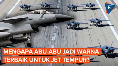 Kenapa Jet Tempur Modern Berwarna Abu-abu, Padahal Dulu Warnanya Cerah?