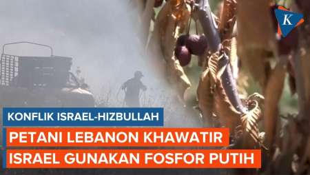 Israel-Hizbullah Saling Serang, Petani Lebanon Khawatir Tanahnya Diracuni Fosfor Putih