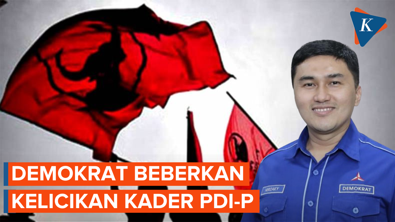 Demokrat Beberkan Kelicikan PDIP Jegal SBY Tak Maju Pilpres 2009