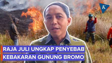 Menhut Raja Juli Ungkap Kebakaran Gunung Bromo Disebabkan Api Unggun