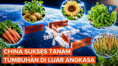 China Budidayakan 14 Spesies Tanaman di Stasiun Luar Angkasa