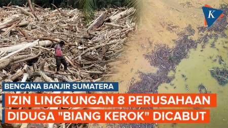 Pemerintah Cabut Izin Lingkungan 8 Perusahaan "Biang Kerok" Banjir Sumatera