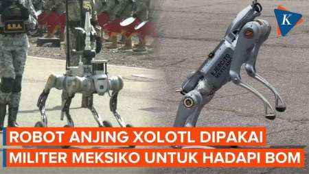 Robot Anjing Meksiko Gantikan Tentara Ke Lokasi Berbahaya, Bisa Deteksi Dan Jinakkan Bom