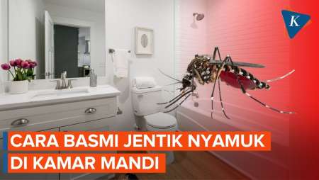 5 Cara Ampuh Basmi Nyamuk & Jentiknya di Kamar Mandi