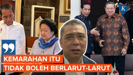 Waketum Nasdem Minta Lupakan Masa Lalu, Dukung Jokowi-SBY-Megawati Bertemu