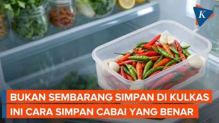 Cara Menyimpan Cabai Di Kulkas Agar Tahan Lama