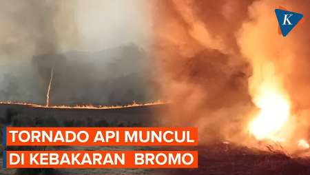 Tornado Api Muncul di Tengah Kebakaran Bromo