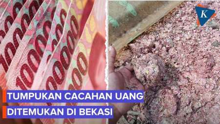 Viral Cacahan Uang Rupiah Ditemukan Di TPS Liar Setu Bekasi