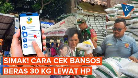 Cara Cek Bansos Beras 2026 Lewat HP