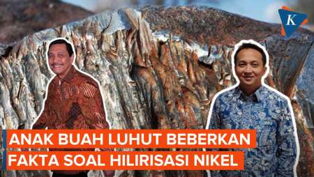 Anak Buah Luhut Sebut Analisis Faisal Basri soal Hilirisasi Nikel Salah