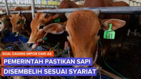 Bantah Daging AS Tak Perlu Label Halal, Pemerintah Jamin Sapi Disembelih Sesuai Syariat