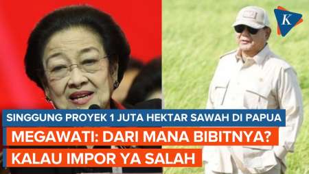 Prabowo Mau Bangun 1 Juta Hektar Sawah di Merauke, Megawati: Kalau Bibitnya Impor, Ya Salah