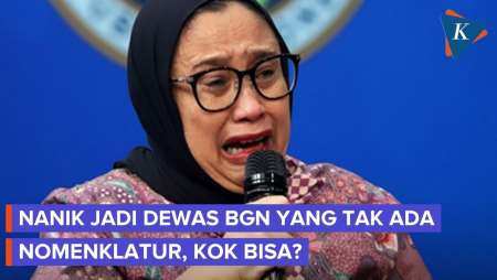 ​Nanik Jadi Dewas BGN Dianggap Tabrak Nomenklatur, Istana Beri Penjelasan