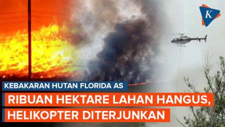 Kebakaran Hutan Besar Di Florida AS Hanguskan Ribuan Hektare Lahan, Heli Diterjunkan