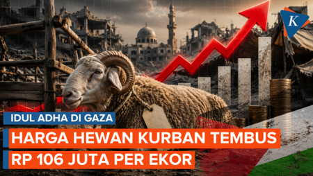 Idul Adha Di Gaza Dirayakan Tanpa Tradisi Sembelih Hewan Kurban, Harga Tembus Rp 106 Juta Per Ekor