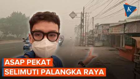 Pantauan Terkini Palangka Raya, Asap Sangat Pekat! | Reporter On Location