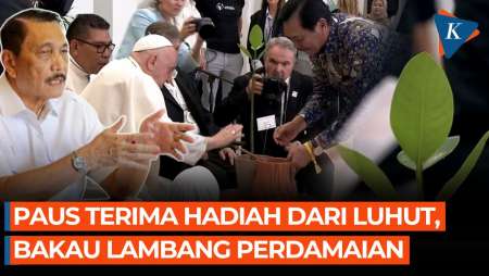 Momen Menteri Luhut Beri Tanaman Bakau ke Paus Fransiskus, Lambang Perdamaian