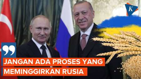 Erdogan Minta Rusia Tidak Dipinggirkan dalam Ekspor Biji-bijian Ukraina