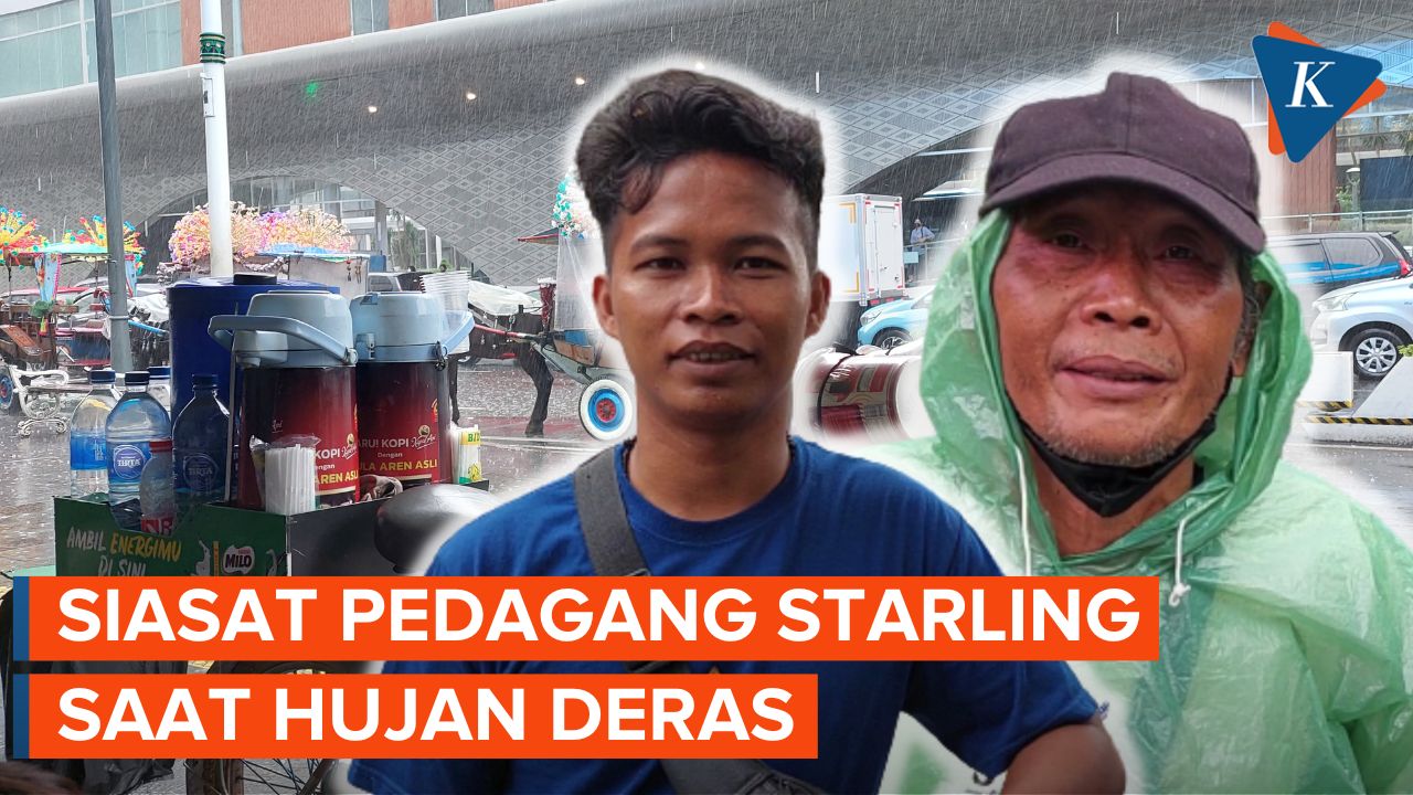 Siasat Pedagang Starling, Jualan di Tengah Ancaman Hujan Deras...