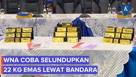 WN China Coba Selundupkan 22 Kg Emas Senilai Rp 60 Miliar, Langsung Digagalkan Bea Cukai