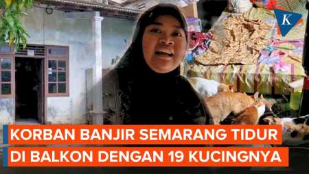 Cerita Korban Banjir Semarang Pilih Tidur dengan 19 Kucingnya daripada Mengungsi