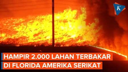 Kebakaran Hutan Di Florida, Lalap Hampir 2.000 Hektar Lahan