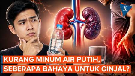 Benarkah Kurang Minum Air Putih Bisa Bikin Gagal Ginjal?