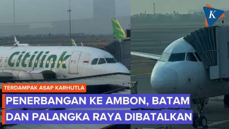 Sejumlah Penerbangan Ke Ambon, Batam, Dan Palangka Raya Dibatalkan Imbas Asap Karhutla