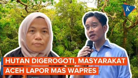 Warga Aceh Datangi Lapor Mas Wapres, Mengadukan Deforestasi SM Rawa Singkil