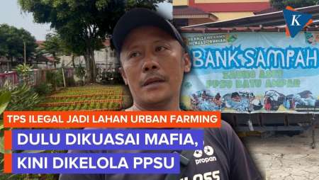 PPSU Sulap TPS Ilegal yang Dikuasai Mafia Jadi Urban Farming, Hasil Panen untuk Warga