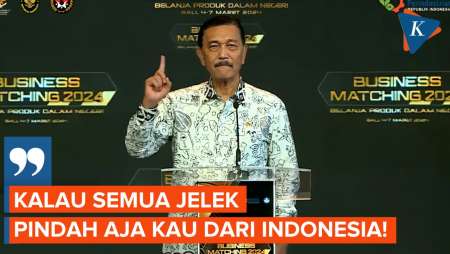 Luhut: Jangan Kritik Semua Jelek... kalau Jelek, Pindah Saja Kau dari Indonesia Ini!