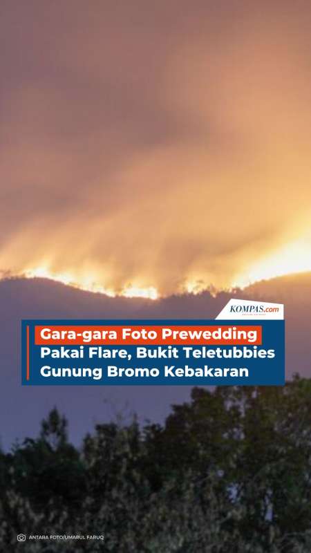 Gara-gara Foto Prewedding Pakai Flare, Bukit Teletubbies Gunung Bromo Kebakaran