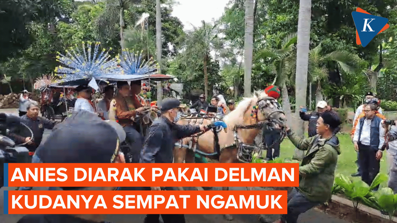 Momen Kuda Delman Anies Sempat Mengamuk, Tak Mau Jalan ke Markas PKS