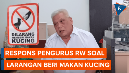 Mengapa Ada Larangan Beri Makan Kucing di Kelapa Gading? Ini Penjelasan RW