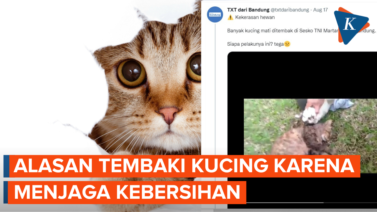 Alasan Brigjen NA Tembaki Kucing di Sesko TNI Bandung