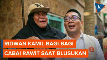 Momen Ridwan Kamil Bagi-bagi Cabai Rawit ke Ibu-ibu Saat Blusukan di Penjaringan Jakut