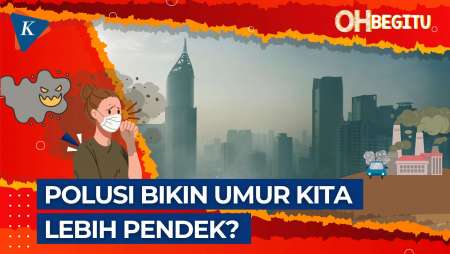 Mau Umur Panjang? Udara Bebas Polutan Solusinya