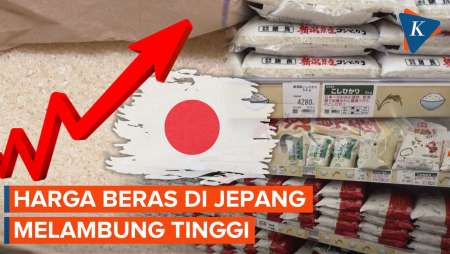 Harga Beras di Jepang Kian Meroket, Tembus Rp 107.000 per Kilogram