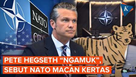 Momen Menhan AS "Ngamuk", Sebut NATO bak Macan Kertas
