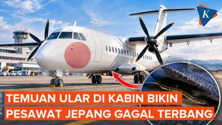 Kronologi Pesawat Jepang Gagal Terbang Gara-gara Ular Di Karpet Kabin