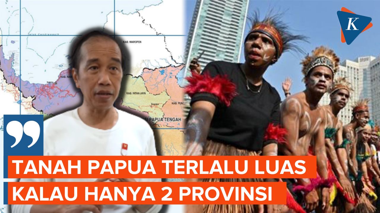 Jokowi Tanggapi Pro Kontra Pembentukan 3 Wilayah Papua
