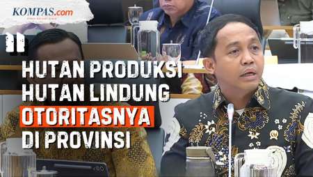 Menhut Raja Juli: Hutan Produksi Dan Hutan Lindung Otoritasnya Ada Di Provinsi