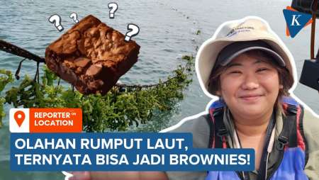 Dari Panen Rumput Laut sampai Jadi Camilan Kekinian di Desa Bondo Jepara