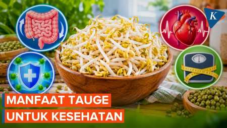 Apa Manfaat Tauge Untuk Kesehatan?