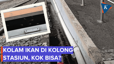 Ada Kolam Ikan di Kolong Peron Stasiun Taman Kota