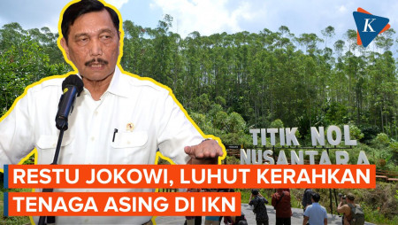 Direstui Jokowi, Luhut Pekerjakan Tenaga Asing di IKN